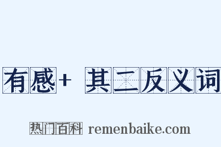 有感+其二反义词是什么意思的图片